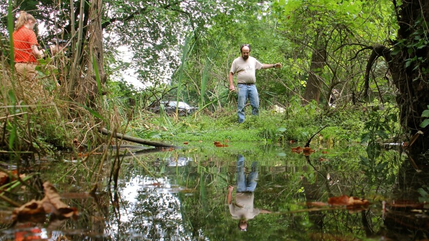Dr. Richard Niesenbaum and his assistant, Muhlenberg student Lindsay Press, investigate a roadside pond near Cedar Creek in Allentown.