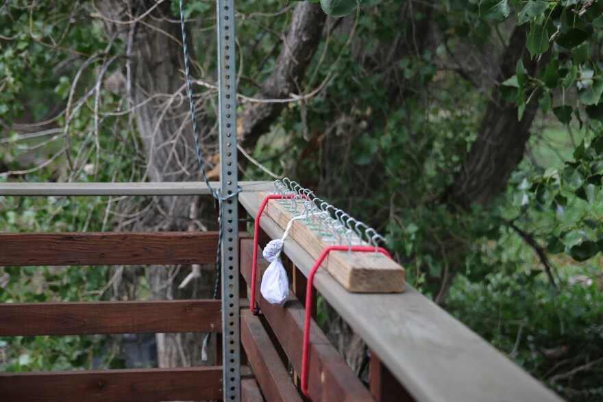 A small white cloth bag hangs from a hook on a two by four plank that is being held to the ledge of a deck with red bungee cords. Behind the plank is forest.