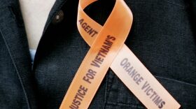 Dawn Reel wears a ribbon supporting Agent Orange victims outside US Court 18 in New York. 
