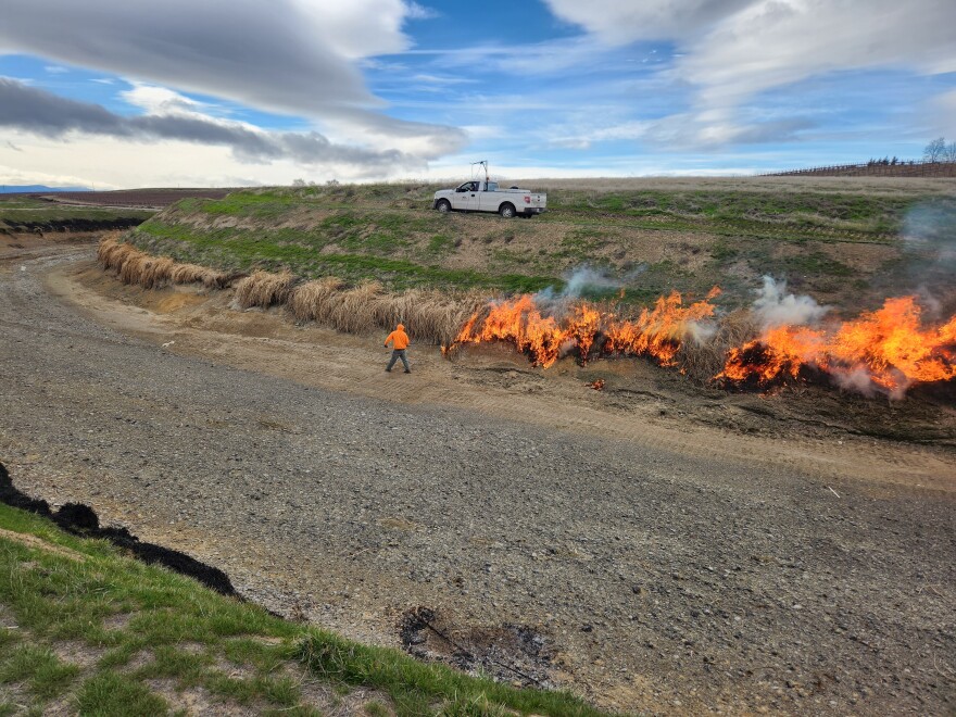 Workers clear canals of debris in preparation for spring irrigation season in the Roza Irrigation District. (Credit: Dave Rollinger)