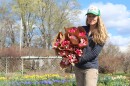 A person holds many bouquets of tulips toward the camera, with budding trees and flowers in the background.