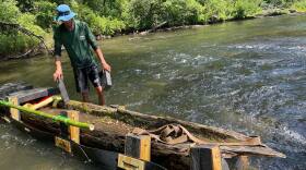 The Chattooga Conservancy pulled a dugout canoe out of the Chattooga River last week. Archaeologists say it could be over 200 years old.