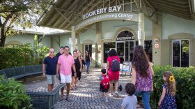 Rookery Bay Environmental Learning Center in Naples