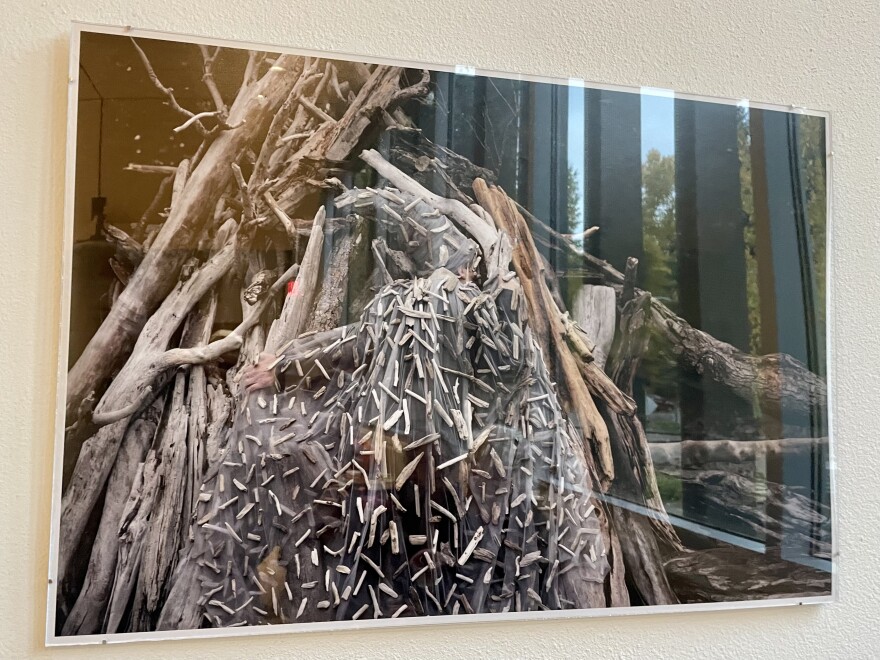 A photo depicts a performance piece by Soledad Escudero, who donned a cloak made of sticks and fabric for a trek in the mountains of Argentina. Several photos and videos of Escudero’s work are on display at the Red Brick Center for the Arts in Aspen for a Sister Cities show titled “Common Ground” through Jan. 10, 2024.