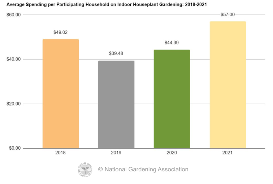 A graph showing the average spending per household on indoor houseplant gardening from 2018 through 2021 by the National Gardening Association. The average was $49.02 in 2018, $39.48 in 2019, $44.39 in 2020, and $57.00 in 2021.