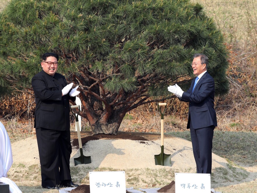 Kim and Moon attend a tree-planting ceremony Friday.