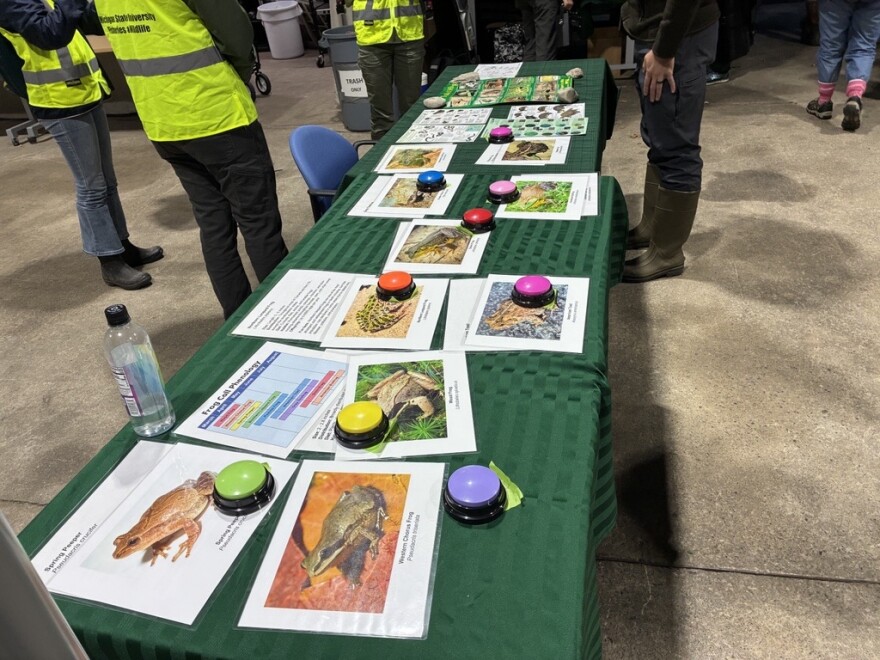 Photos of frogs and buttons with their calls line a table with a green tablecloth. 