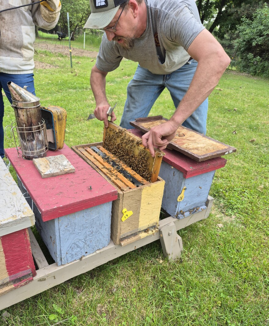 Karl Geiger opens one of his hives