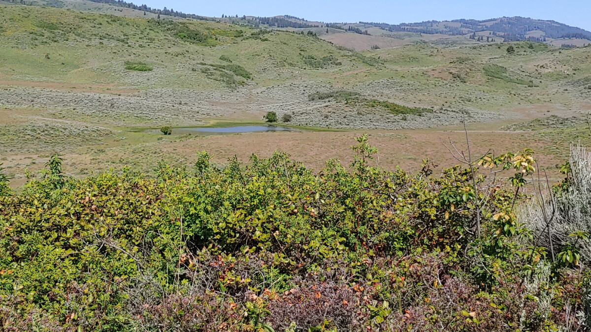 Poll: Latinos in the West among the most concerned about environment, supportive of conservation - Vimarsana News