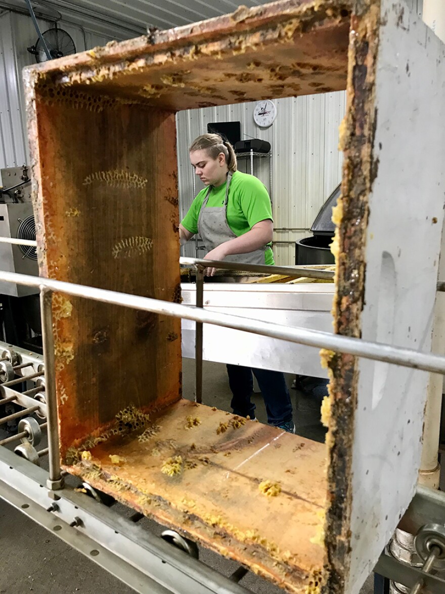 Honey is processed at Larson Apiaries in Billings