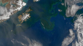 Part of the Gulf of Alaska as seen from above in 2014. 