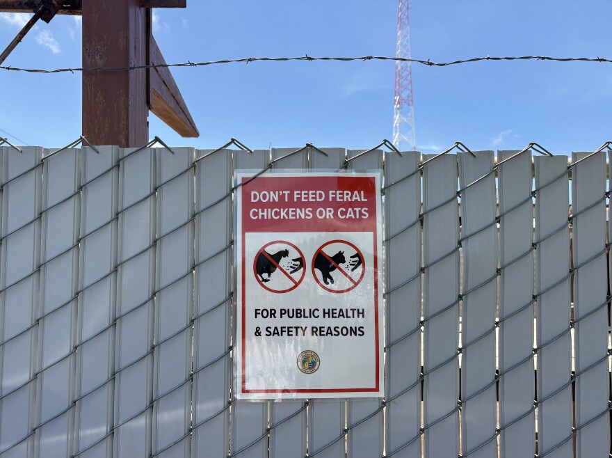 Sign urging visitors at Kapalama Hale not to feed feral chickens and cats