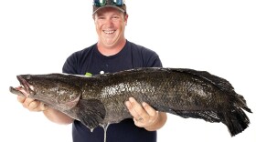 Caleb Newton, who lives in Spotsylvania County, Va., holds the 17-pound, 6-ounce northern snakehead fish he caught in June. The International Game Fish Association has approved a world record for his catch of the invasive predator.