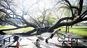 man doing pushups with dog