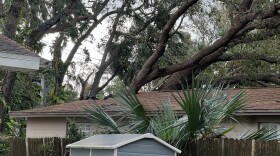 Tree falls on a roof after Hurricane Milton