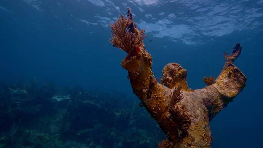 David Ruck Protection plan for South Florida's 'Grand Canyon' faces opposition | WLRN