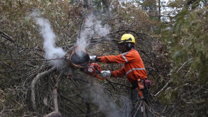 A wildland firefighter chain saws a smoldering