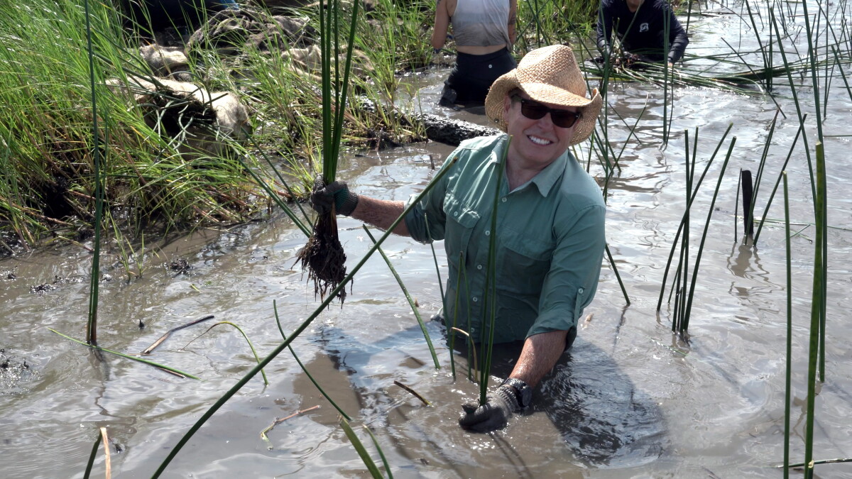 WYES' ‘Eco Trip' explores Louisiana coast; WNYC podcast on history of FEMA