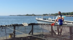 Erich Berghahn, part of the UNH AquaFort team, feeds the steelhead trout at the AquaFort project off the coast of New Castle, NH.