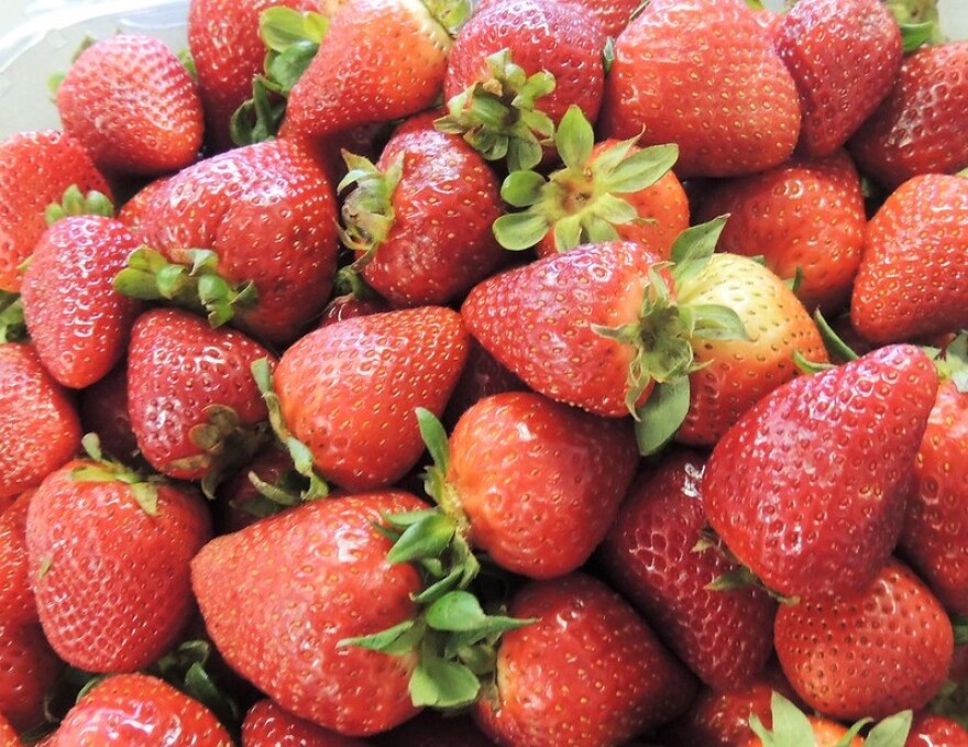 Fresh strawberries