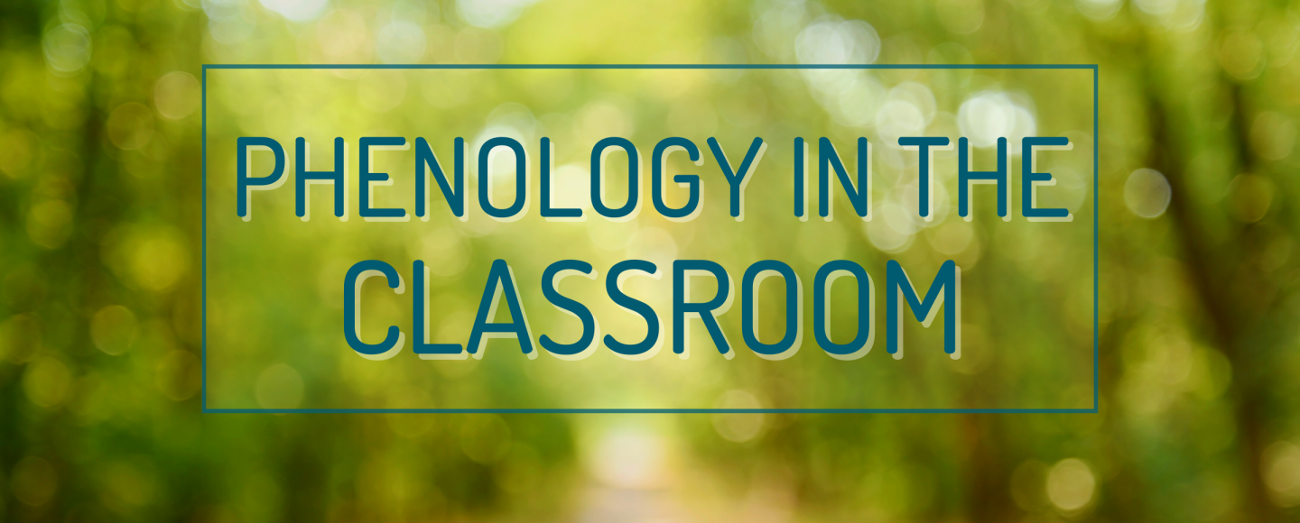 Phenology in the Classroom workshop promo header