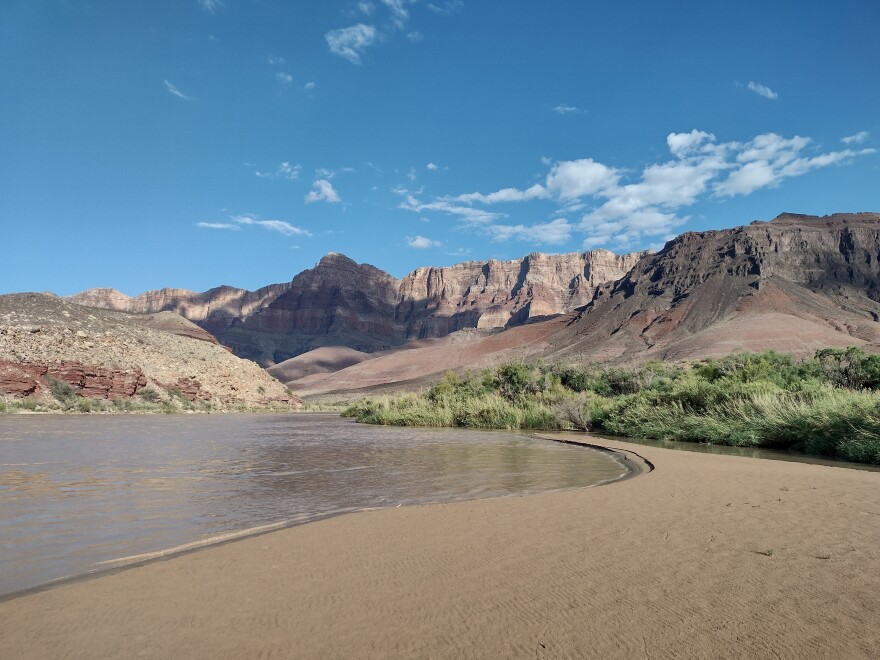 A broad sandbar beside a river, beneath cliffs and a fringe of green trees