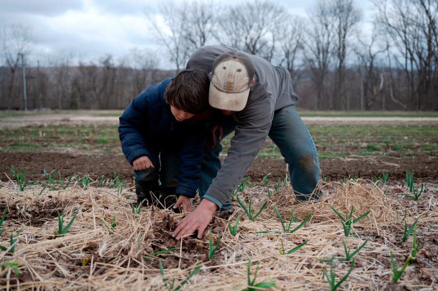 Paul Bucciaglia, Fort Hill Farm