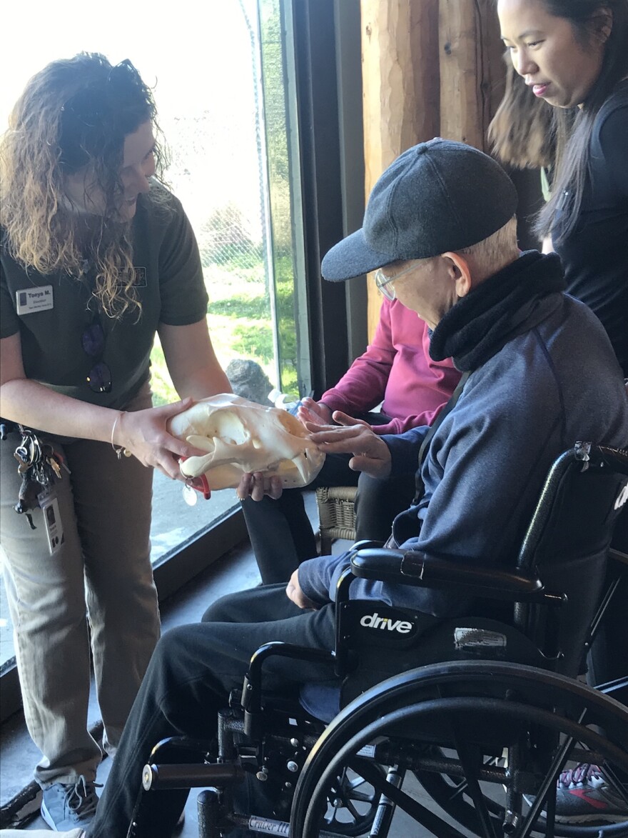 Tonya McDaniel with the Dallas Zoo shows visitors a lion skull during Monday's Wild Gatherings event.