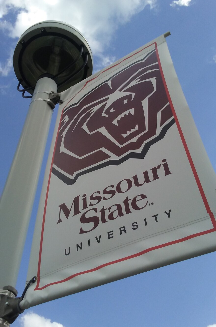 MSU banner