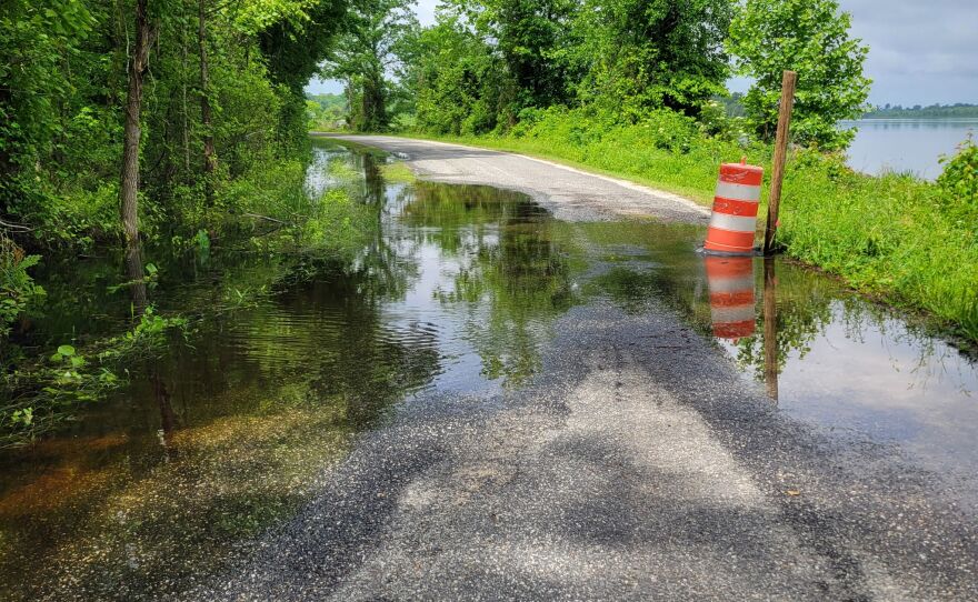 An orange construction barrel sits, partially submerged, at the edge of a pool of standing water that floods a road.