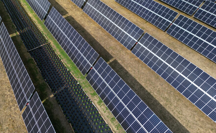 Charlie and Sarah Remelt with their son Parker Remelt and future daughter in-law, Allison, on their family farm in Henrietta that a portion of the farmland is now leased to the solar company, Delaware River Solar. The Remelt's are trying to find ways to farm between the solar array.