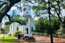 A tall church stands behind large trees and a streetlight. There are steps leading up to the church and benches along the walkway. 