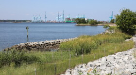 The newly completed living shoreline at Norfolk Southern's Lambert's Point coal terminal in Norfolk on Aug. 25, 2026.