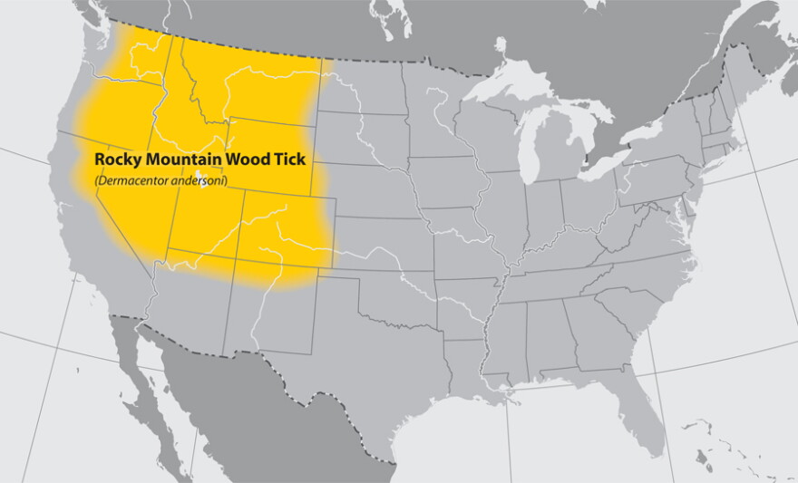 Where Rocky Mountain wood ticks live