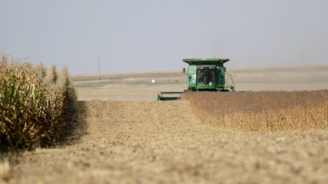 Combine tractor harvests a field. 