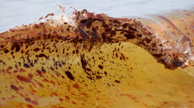 A light yellow ocean wave is dotted with blots of oil.