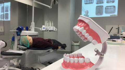 A picture taken on September 25, 2018 shows a denture and a hyper realistic mannequin during a training session for students of the faculty of dental surgery in Strasbourg. (Marc Antoine Baudoux/AFP via Getty Images)