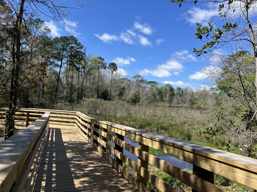 A newly-constructed boardwalk at Carpenter Creek Headwaters Park allows visitors to walk through and experience the restored wetlands up close.