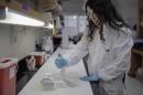 A public health scientist in the Newborn Screening Lab.