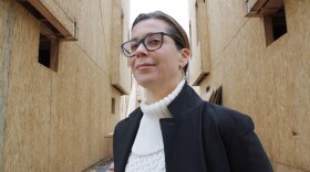 Realtor Kelley Meister says about 90 percent of the homes being built today are big boxes.