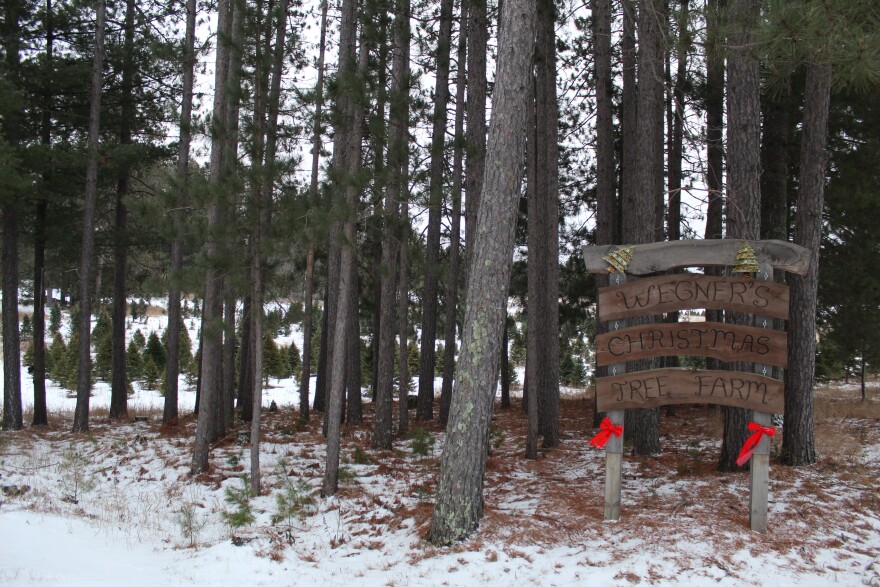 The entrance to Wegner's Tree Farm in Blackberry on Dec. 16, 2024.