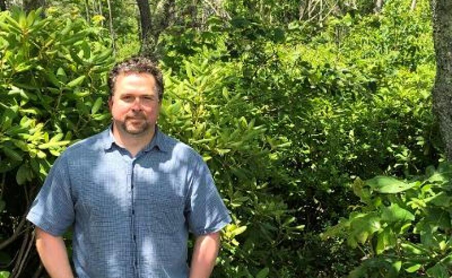 Scientists Weigh Benefits of Forest Burns - WVTF