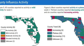 Countywide data shows low levels of influenza across Florida as the state enters the peak of flu season. (credit: WUSF)