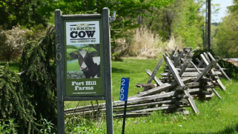 A sign greets visitors to Fort Hill Farms in Thompson, May 12, 2023. The farm includes a cooperative dairy.