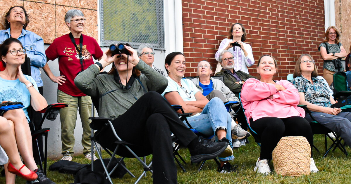 Activists fight to save an abandoned chimney in south Charlotte that's a home for migrating birds
