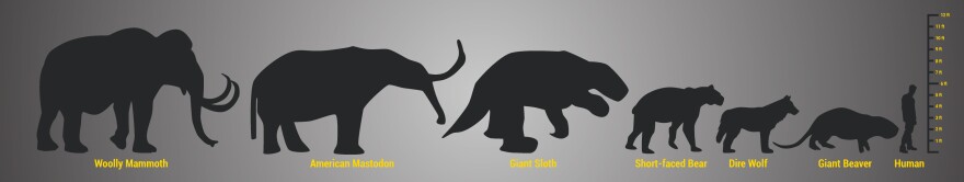 comparison-rd3.jpg