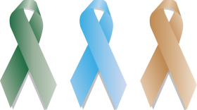 9055132 from Pixabay