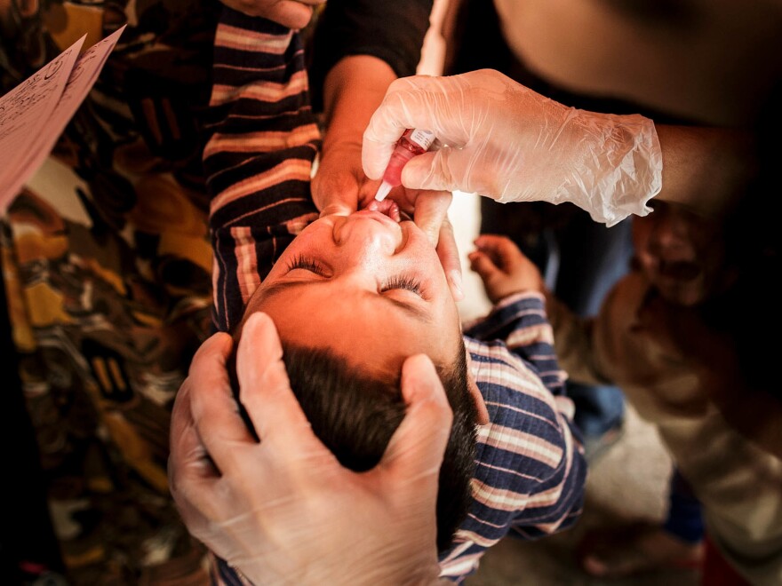 Nurses give the oral polio vaccine to a Syrian child in a refugee camp in Turkey. The oral polio vaccine used throughout most of the developing world contains a form of the virus that has been weakened in the laboratory. But it's still a live virus.<em></em>