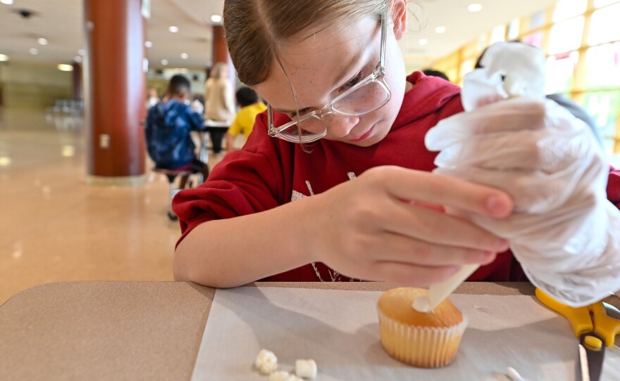 Clara Evans, a fifth grade student, carefully begins decorating her cupcake.