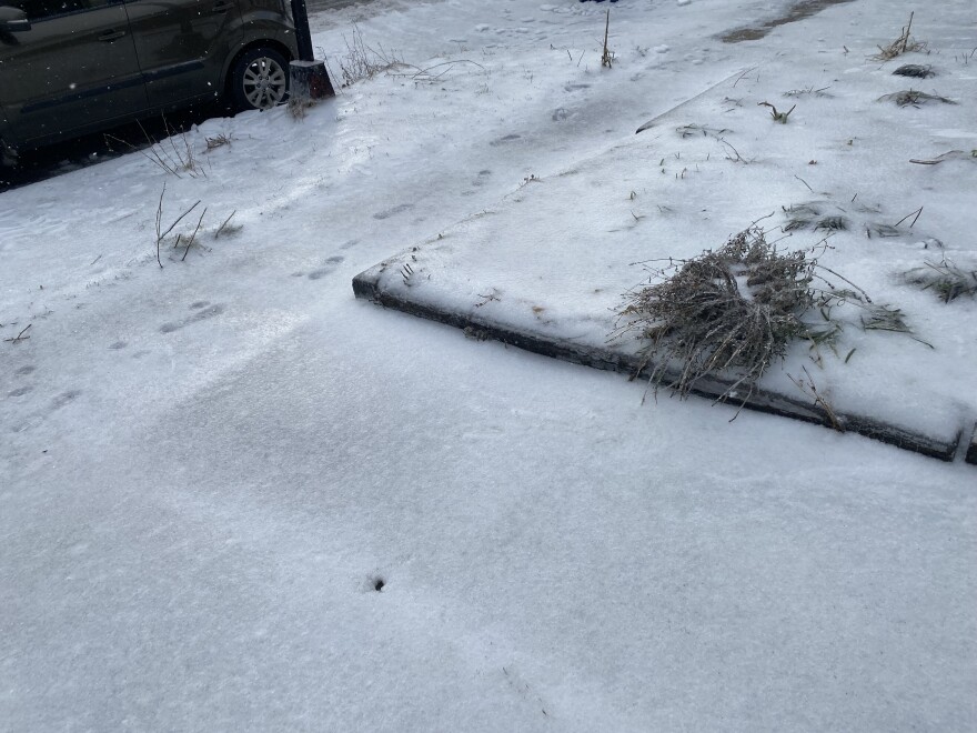 A sidewalk in Buffalo's Elmwood Village